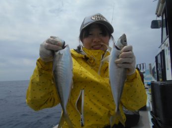 5.9大進丸　アジ2